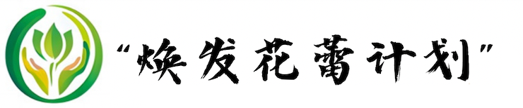 助理留守儿童自信新面容